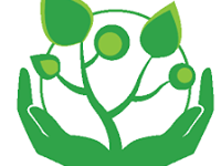 131246745970721704477012998258269512970300n