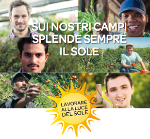 Schermata 11-2456988 alle 15.08.55