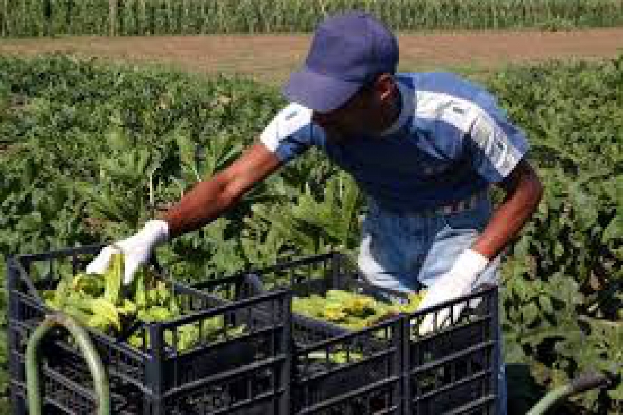 Regolarizzazione per colf, badanti e lavoratori dell’agricoltura.