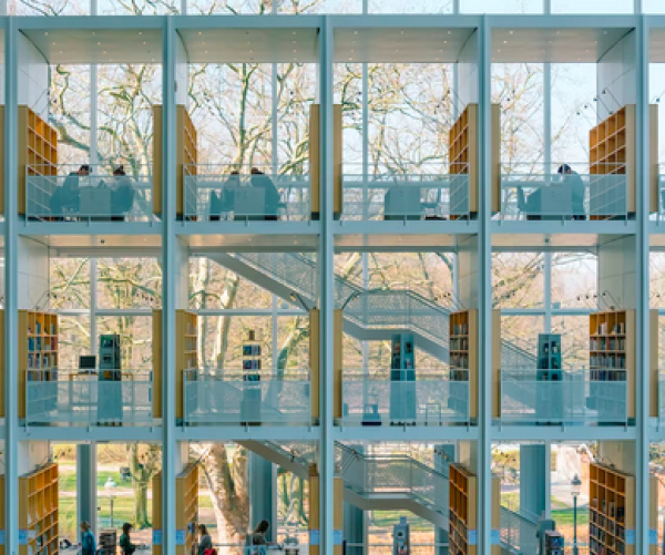 Schede pratiche iscrizione anagrafica e SSN dei richiedenti asilo e dei titolari di protezione internazionale