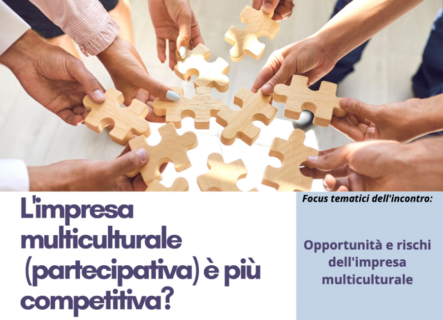 Webinar L'impresa multiculturale (partecipativa) è più competitiva?