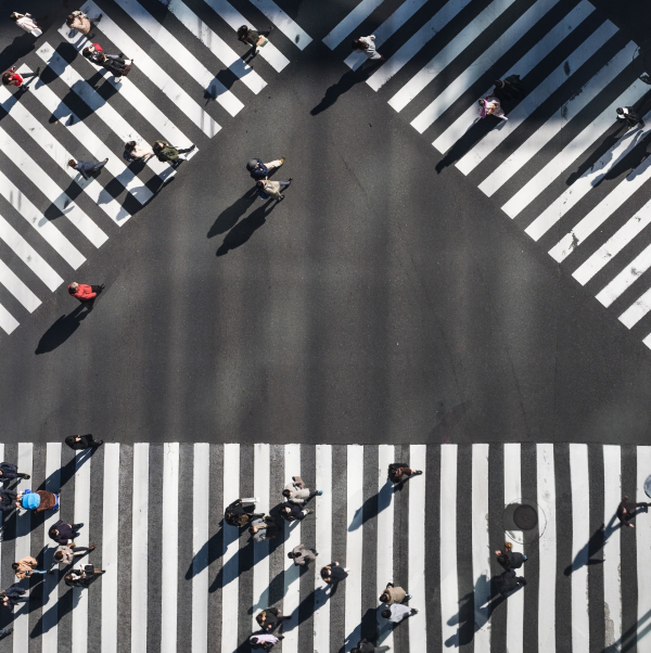 Avvisi per l'affidamento dei servizi di mediazione presso l'Agenzia delle Entrate e a chiamata | progetto ERMES