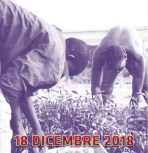 Dall'economia degli stranieri in Italia: IN e OUT